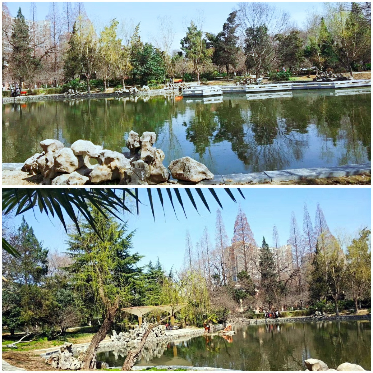 1772509639851006.jpg c6cd97a464af524208a9ad3a95fe4c8_副本.jpg